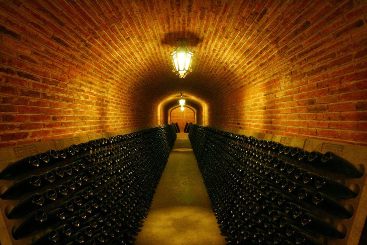 Tour de vinos y cavas - Ezequiel Montes
